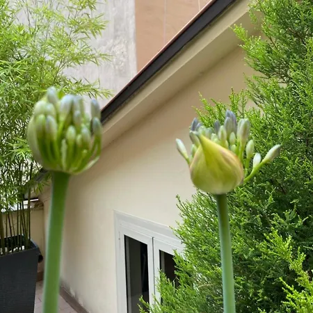 Termini Cozy Corner Wi-fi Ac Free Apartman
