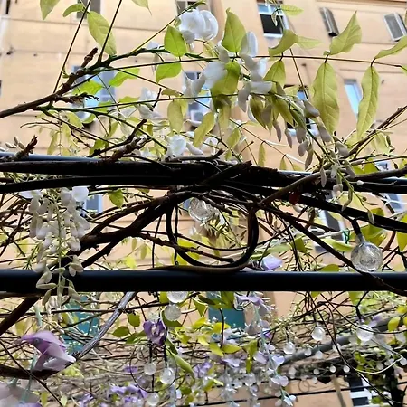 Termini Cozy Corner Wi-fi Ac Free Apartman *